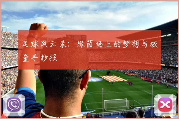 足球风云录:绿茵场上的梦想与较量手抄报