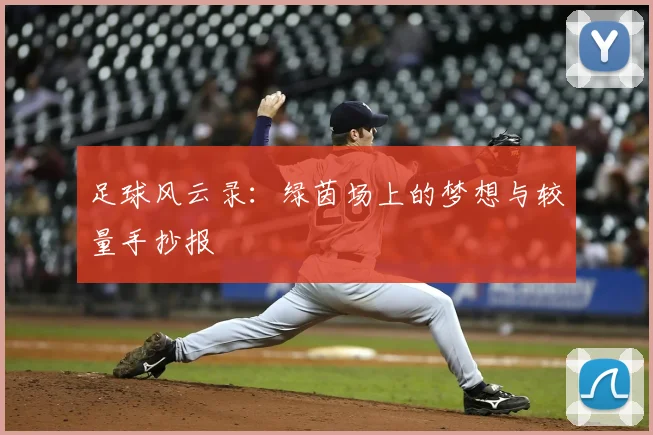 足球风云录：绿茵场上的梦想与较量手抄报